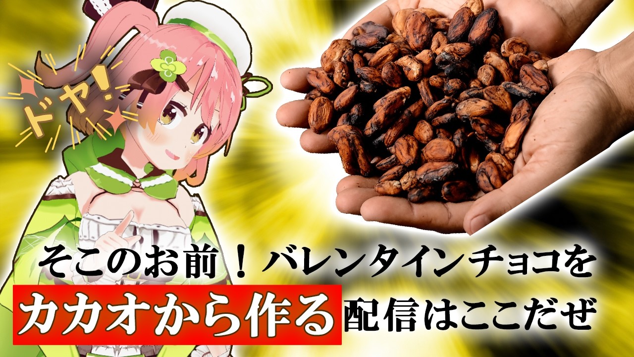 【 Valentine配信 】男子禁制？！ 手作りチョコは ”カカオ” からチョコ作る時代が来たぞ！【 #個人Vtuber / 南京めめ 】