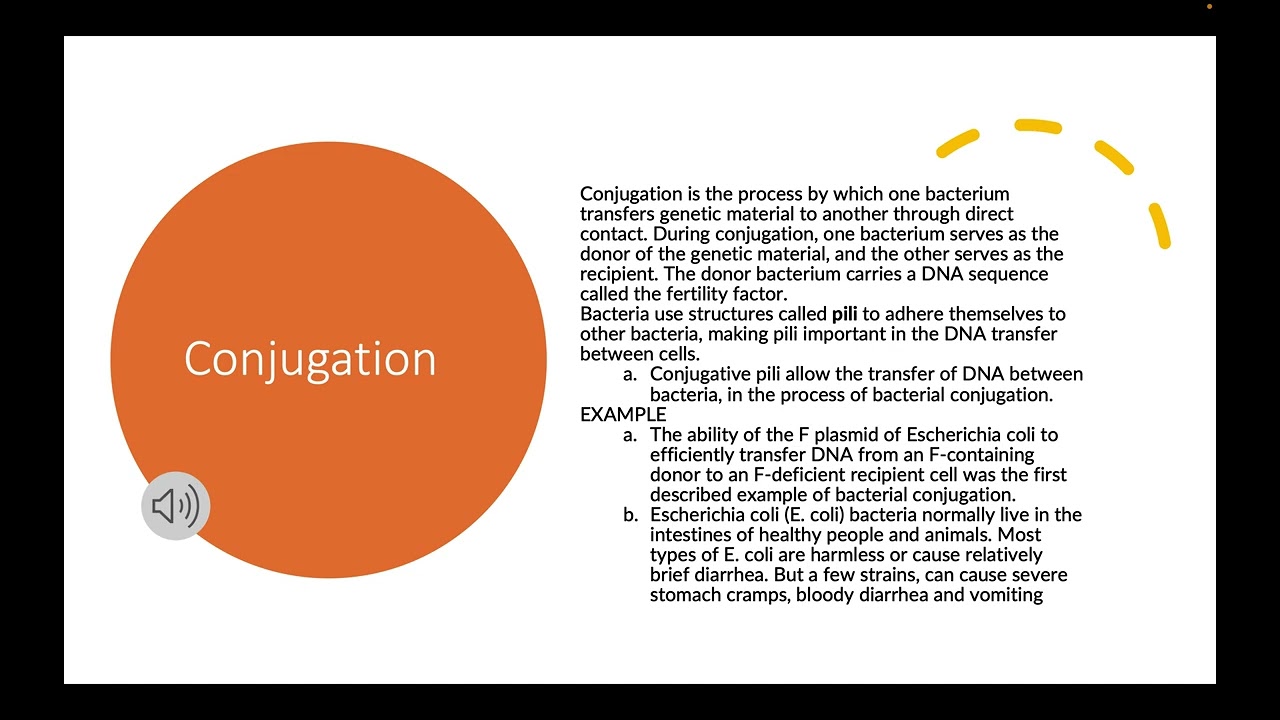 Pili- Conjugation vs Transduction vs Transformation