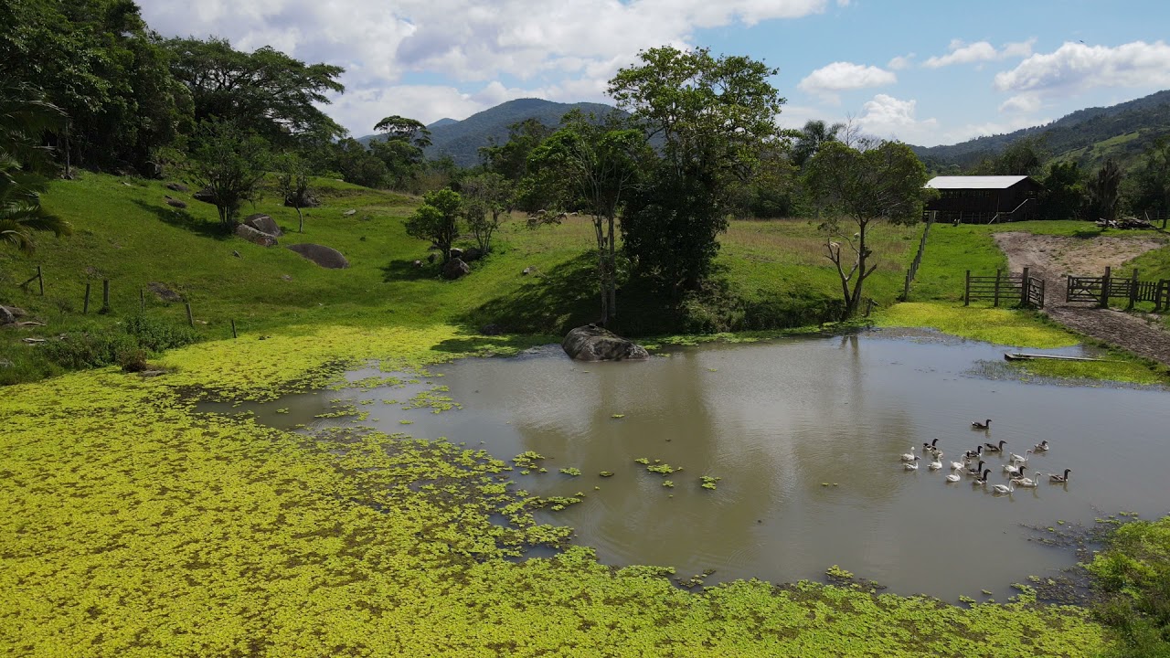 Fazenda em Paulo Lopes com 150 Hectares