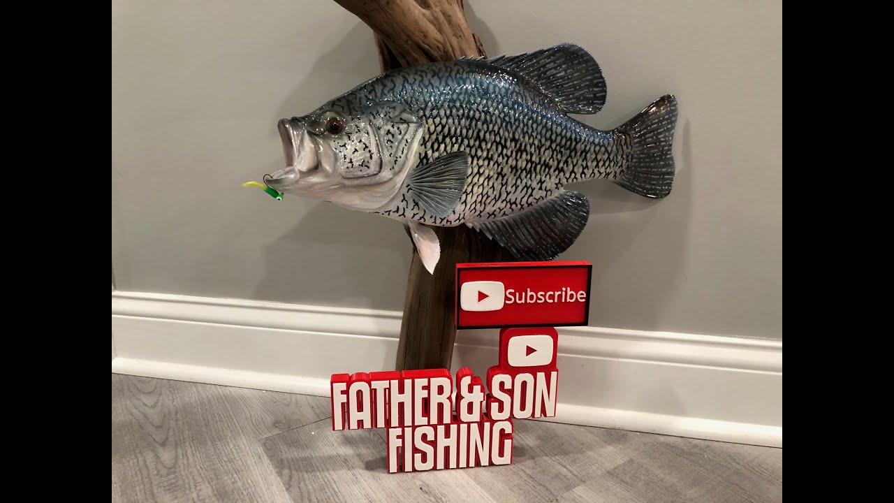 BEST CRAPPIE FISHING TIPS THE PROS WON'T TELL YOU! (PROVEN)