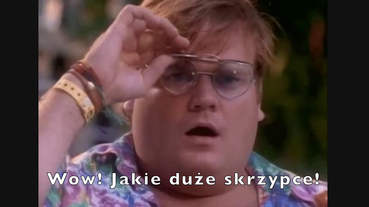 Dlaczego kontrabas? 5 powod&oacute;w, dla kt&oacute;rych warto grać na kontrabasie 🐗 | Why double bass?