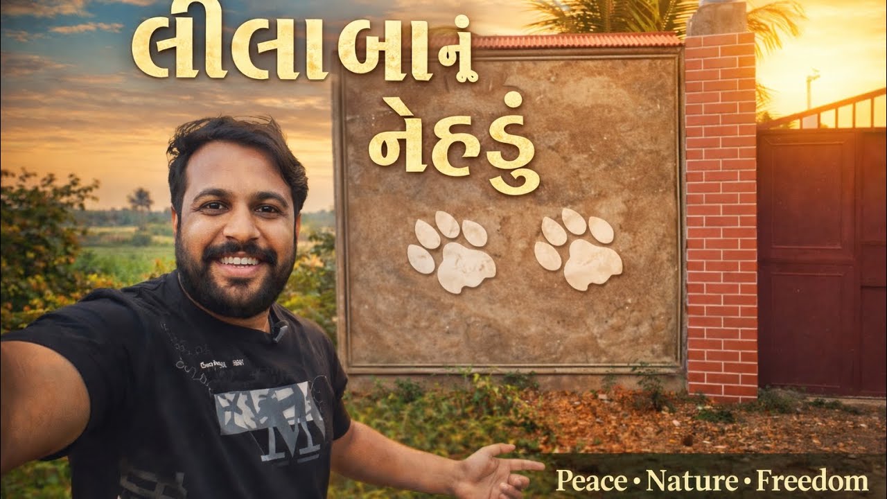 Work +  enjoy farm house (સ્વર્ગ)  #gandigir  #farming  #visavadar  #farmhousestyle  #jungle 