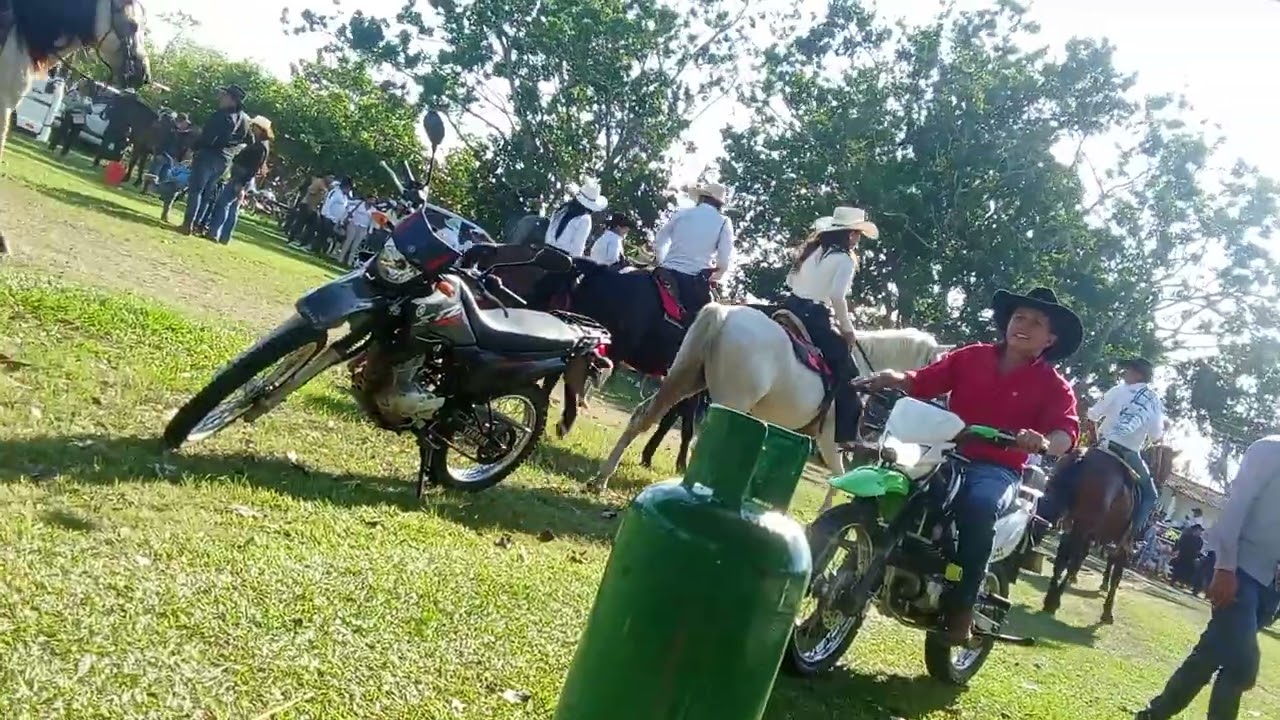 En las fiestas dé maní Casanare tierra dé la bandola llanera 