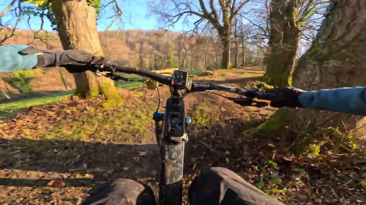 Buchsbum Trail 🌲 | Raw Natural Enduro | Wyhlen, Germany