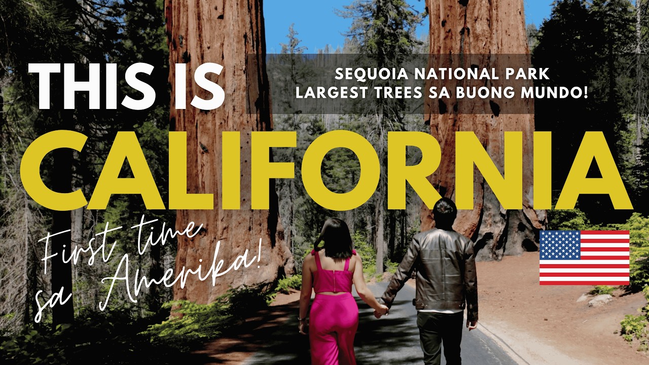 California Travel Guide 2026: Arrival and Sequoia National Park (Part One)