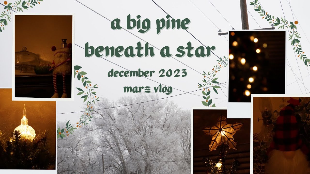a big pine beneath a star | december 2023 vlog