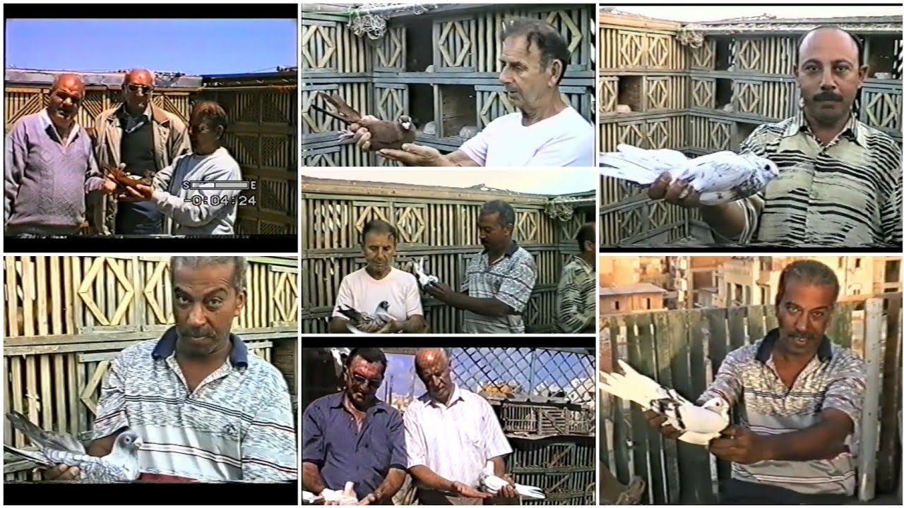 غواة الزمن الجميل♥️..غواة الاسكندرية ومصر 🇪🇬 ...الحاج منعم مرسيدس وأستاذ ياسر ادهم ..أيام الخواجات