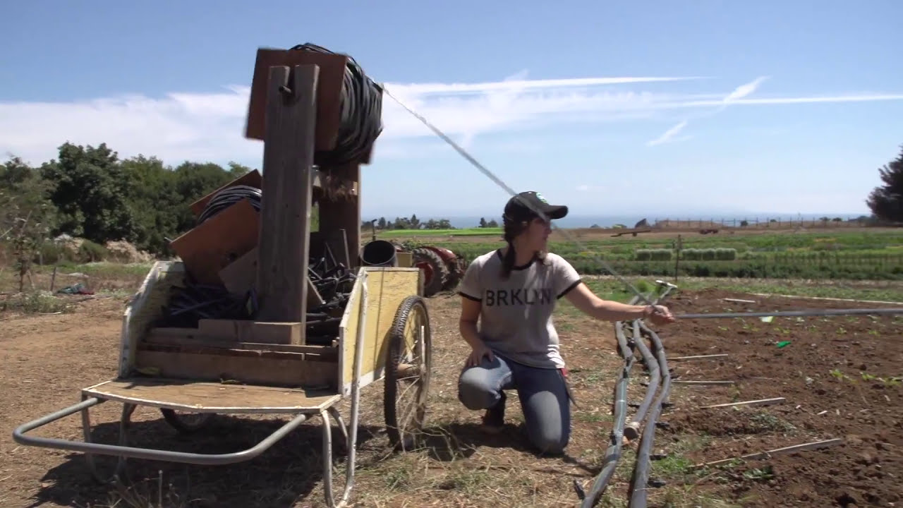 Organic Weed Management