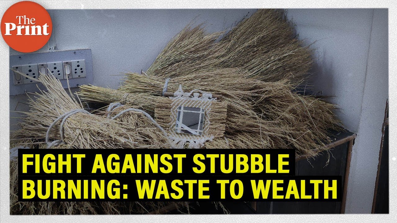 Waste to wealth: How this Entrepreneur in Haryana is fighting the problem of stubble burning