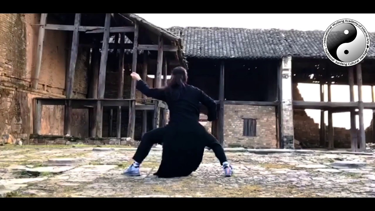 Wudang Fu Hu Quan - Tiger Beating Form from Master Chen Shiyu