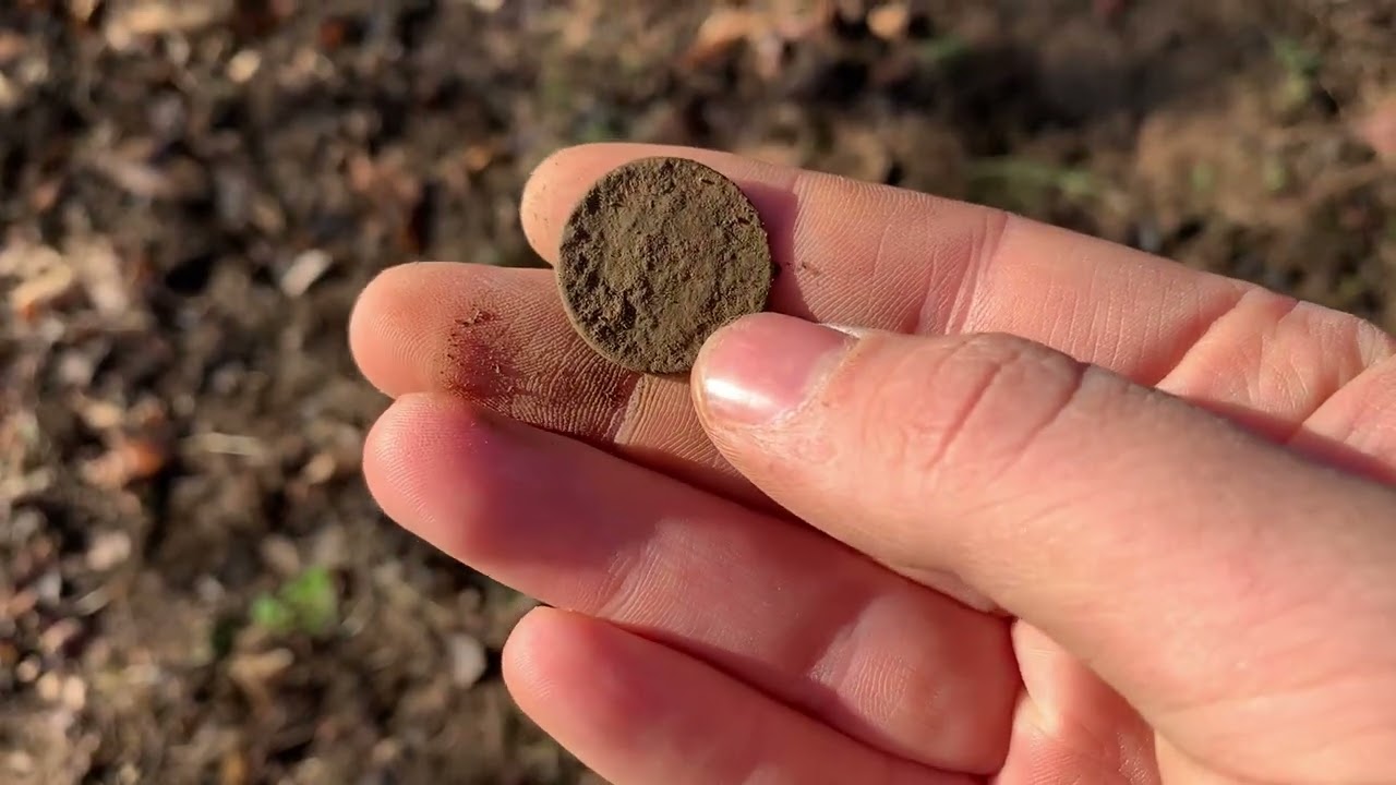 Le monete dei Savoia nei campi - GRANDI RITROVAMENTI #metaldetecting #treasuresearch