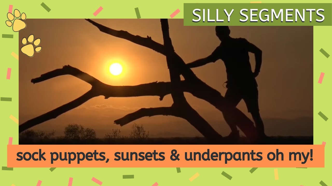 Safarilive funny moments sock puppets, sunsets and underpants oh my!