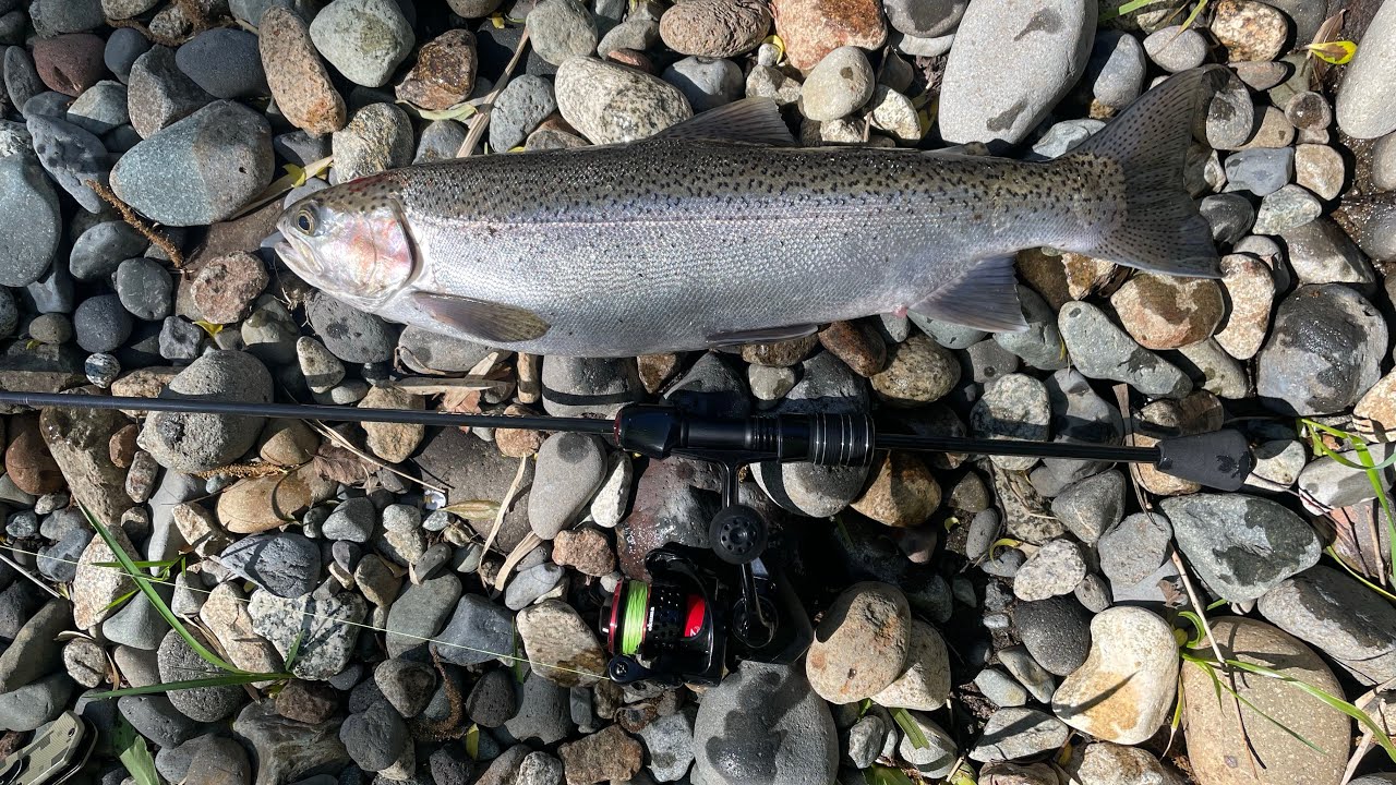 Jornada muy lenta pero con unas sorpresas | Pesca en el sur de chile Region de los rios
