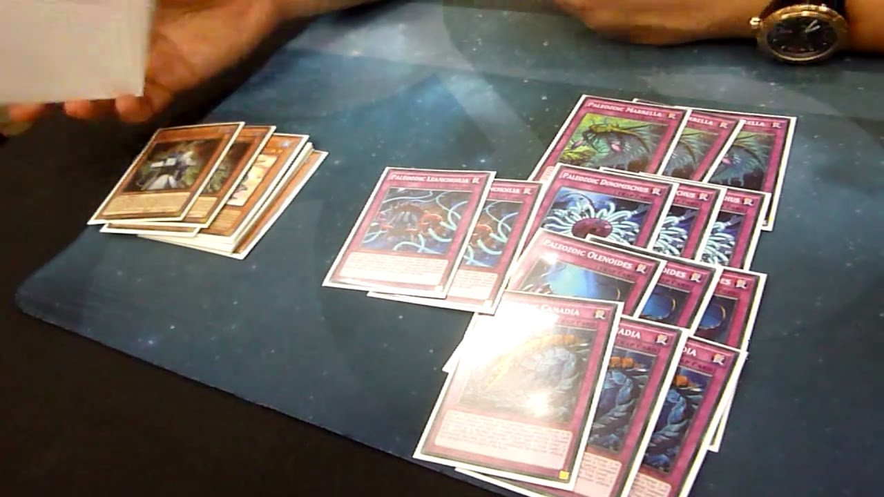 Top 8 YCS Prague 2017 - 60 card Paleozoic - Themistokles Gkyzis
