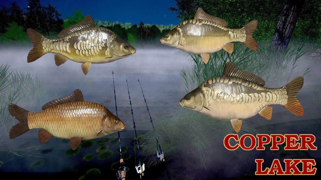 Silver record  No PVA ? Dinks Carp & F1 Copper Lake | Russian Fishing 4