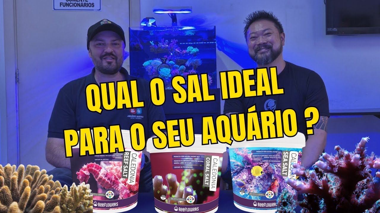 Qual o sal ideal para o meu Aquário Marinho ?