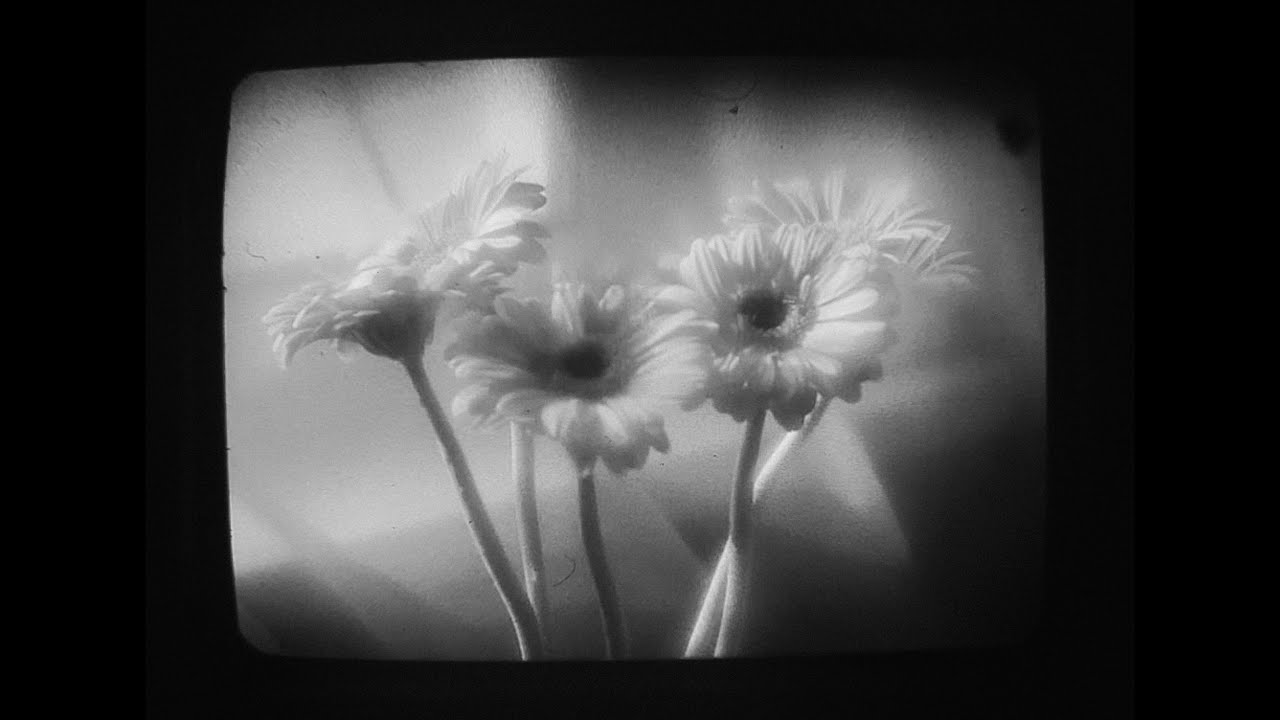 Лезем внутрь объектива пленочного фотика и болтаем