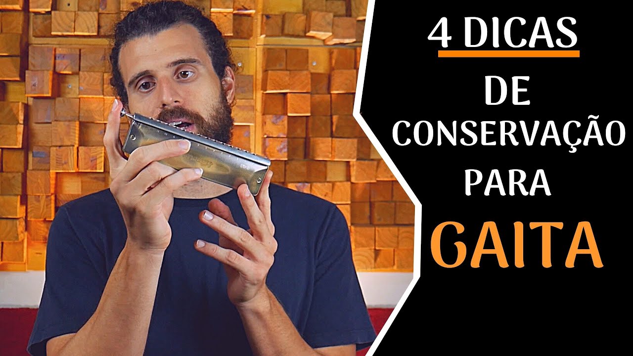 COMO AUMENTAR A DURABILIDADE DA SUA GAITA: dicas de conservação para gaita cromática e diatônica