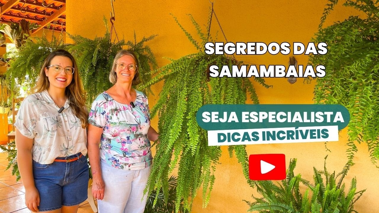 O que ninguém te conta sobre as SAMAMBAIAS | Como Ter Samambaias Lindas e Saudáveis!🌿