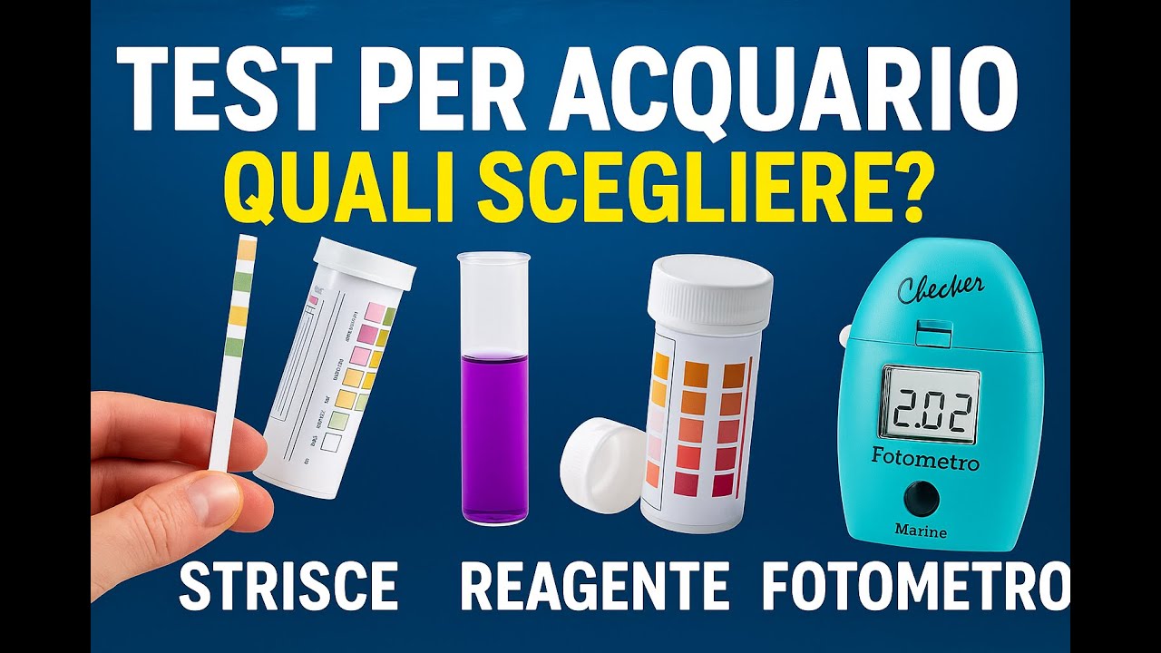 Test per Acquario: Confronto tra Strisce, Reagenti e Fotometro