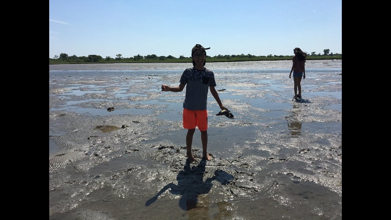 Clamming in Rhode Island