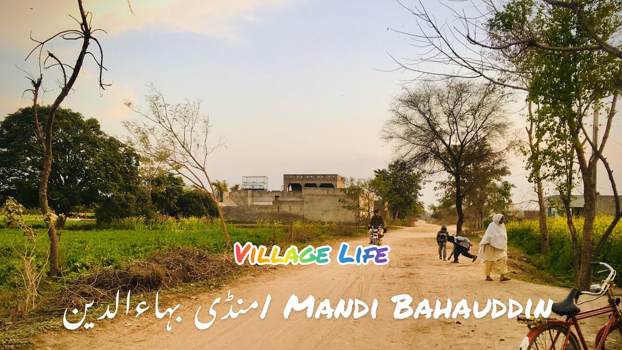 Mandi Bahauddin| ‎منڈی بہاءالدین | village vlog| village Life