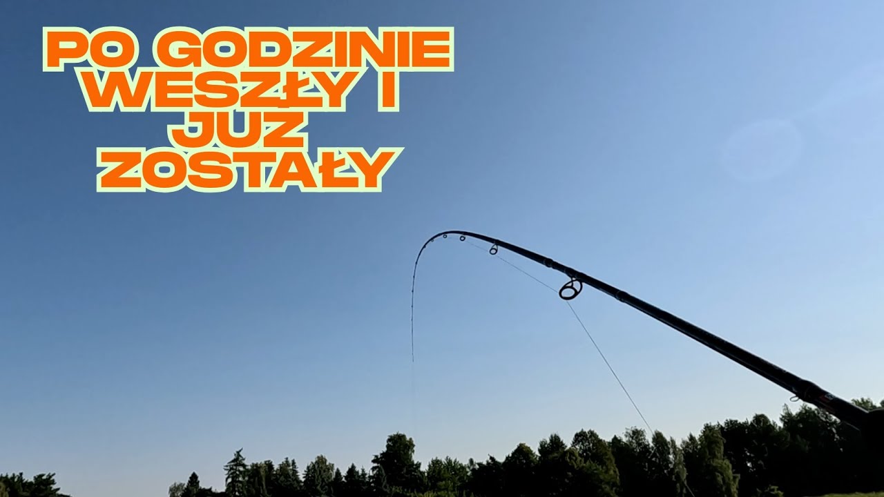 SPOSÓB NĘCENIA GDY RYBY NIE CHCĄ ŻEROWAĆ -WĘDKARSTWO 2025