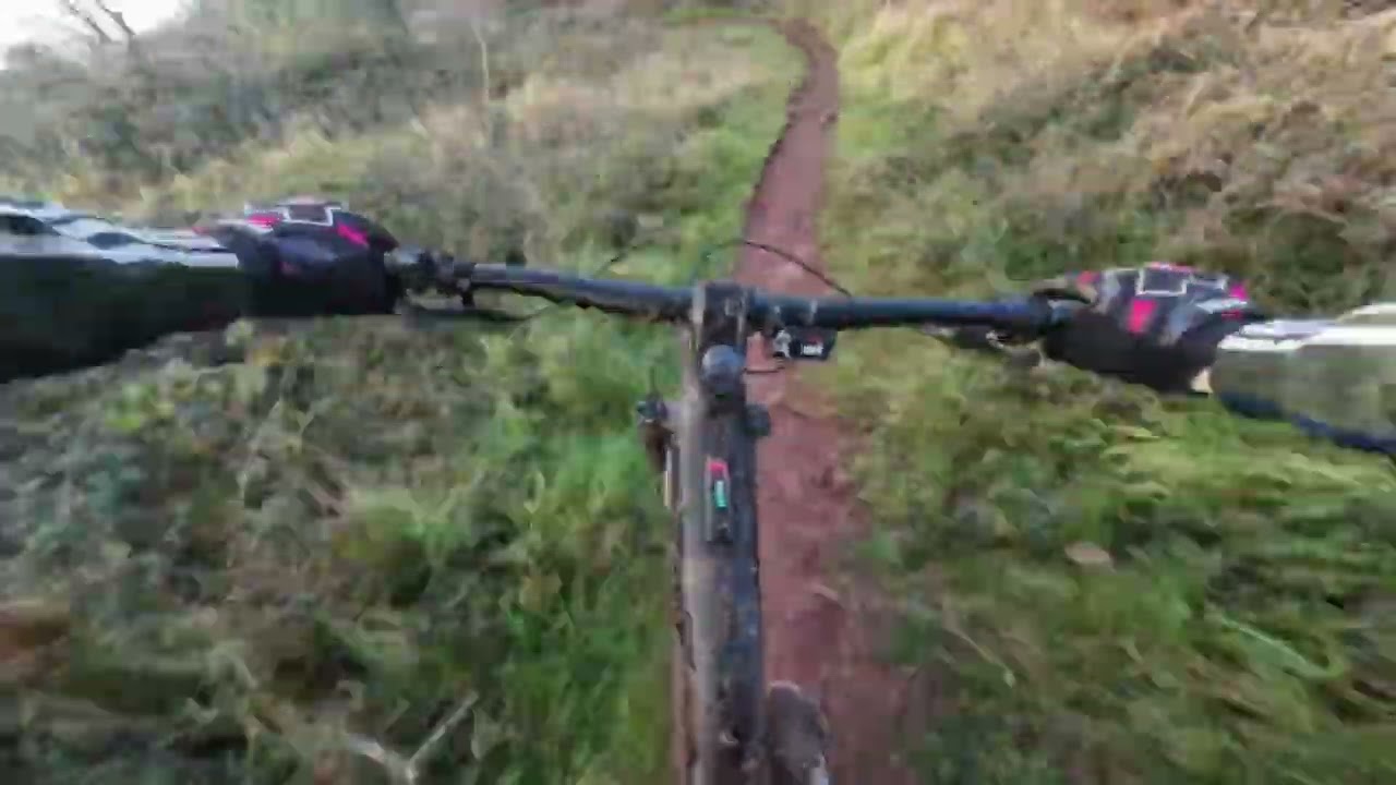 Riding Rowberrow warren mountain bike trails on my e-bike 