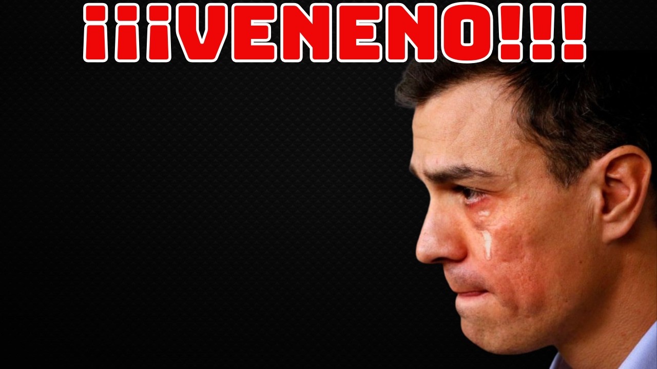 PEDRO SANCHEZ ¿ENFERMEDAD MORTAL? PREDICCIÓN 2026