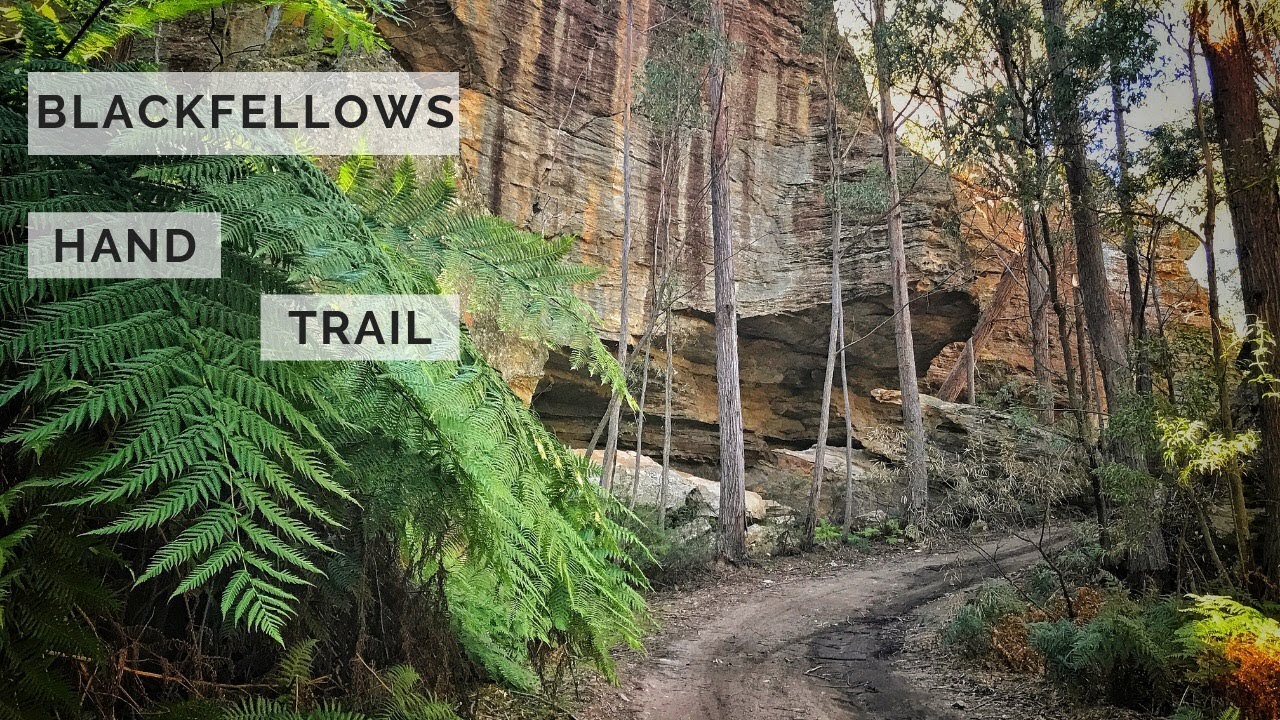Blackfellows hand cave via blackfellows hand trail