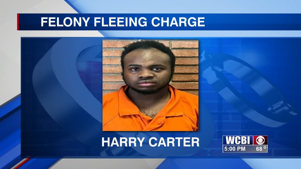 Police arrest a man for felony fleeing in Winston Co.