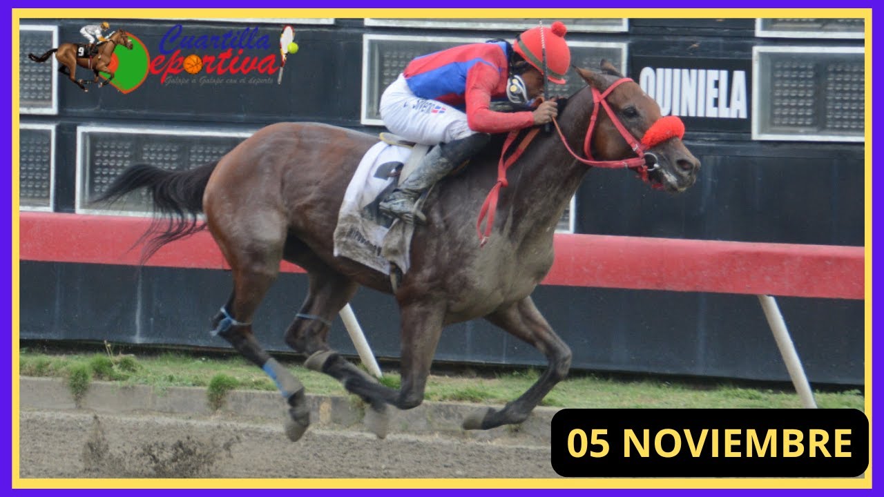 ✅RESUMEN 📽 martes 05 NOVIEMBRE 2024, carreras caballos🏇 en el V Centenario💰