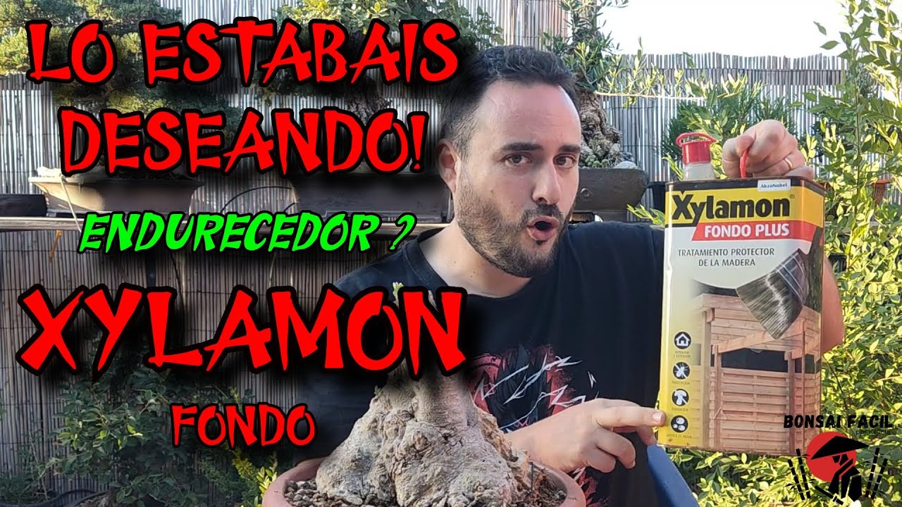 ENDURECEDOR de Madera? Xylamon para el olivo