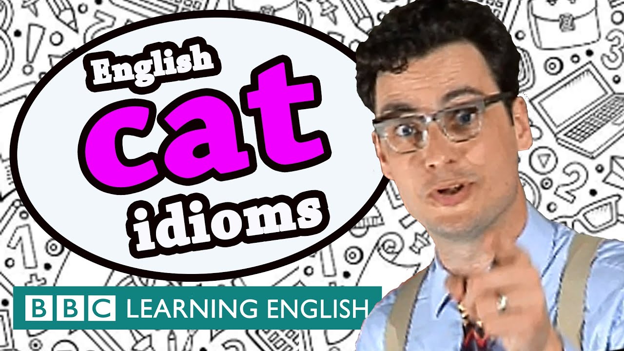 Cat idioms - Learn English idioms with 👨‍🏫 The Teacher