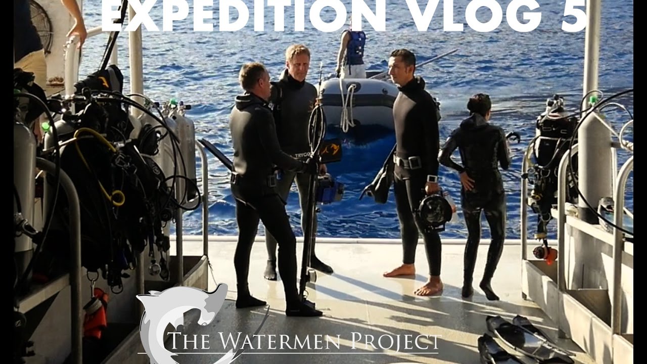 EXPEDITION VLOG 5 - VOLUNTEER EXPLORERS, Revillagigedos - The Watermen Project
