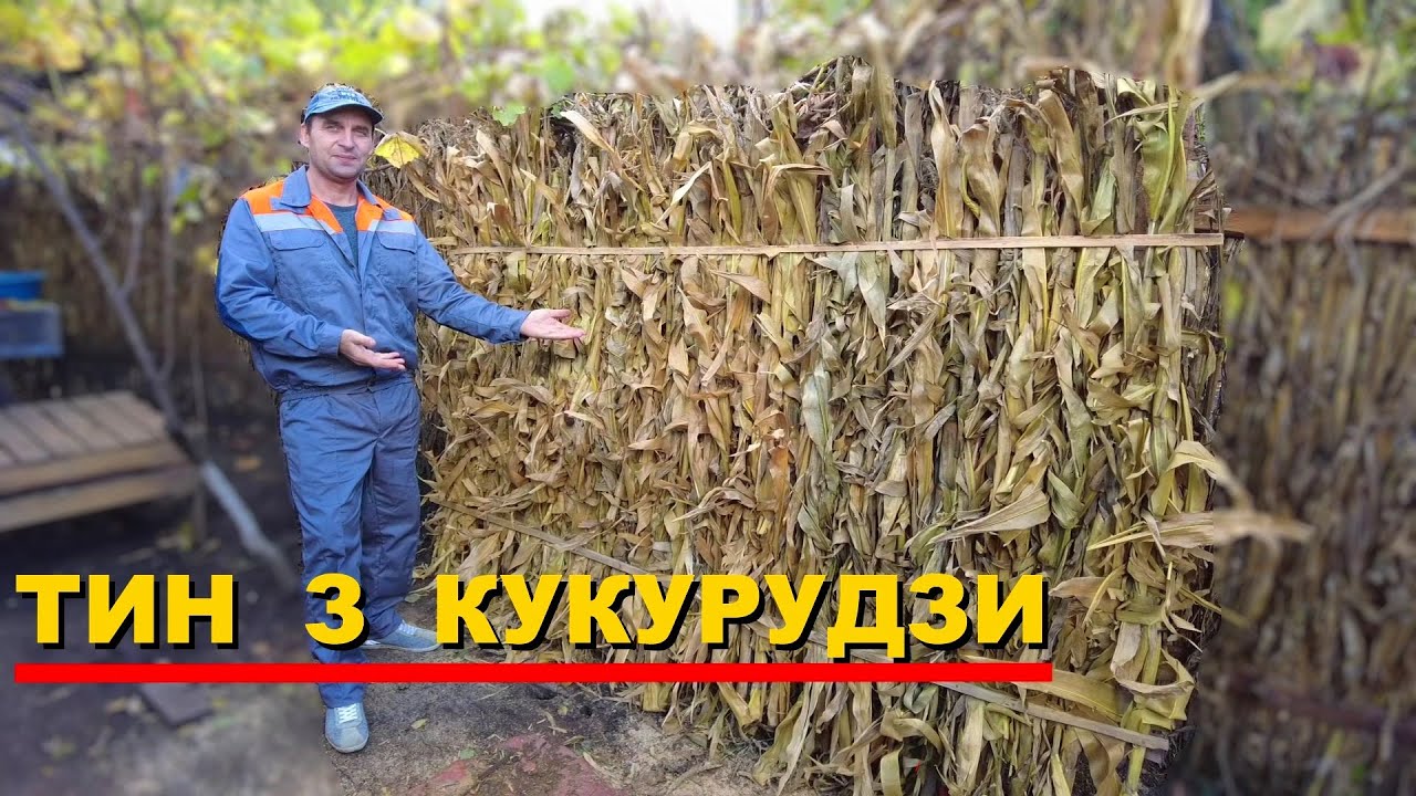 ТИН з КУКУРУДЗИ красиво та швидко !!!