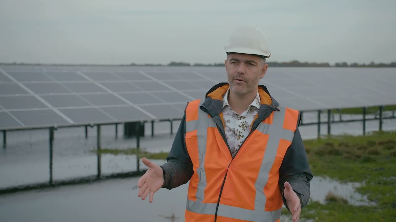 Zonnepark Buinerveen: een natuurinclusief zonnepark