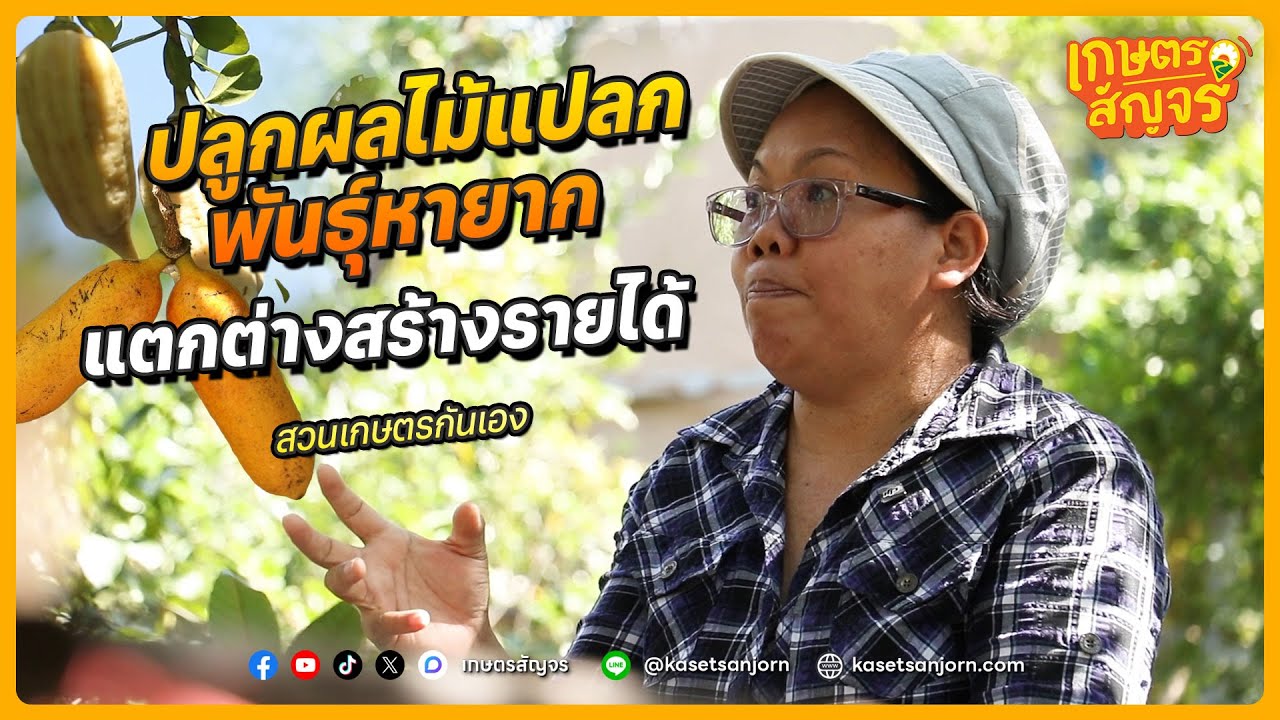 ปลูกผลไม้แปลก พันธุ์หายาก จากทั่วโลก สร้างความแตกต่างและรายได้ที่ยั่งยืน | เกษตรสัญจร