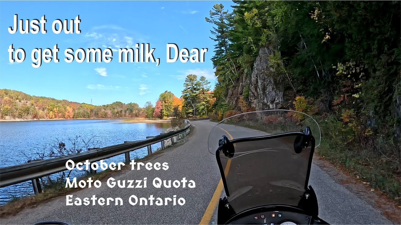 JUST OUT TO GET SOME MILK, DEAR: October tree colours in eastern Ontario