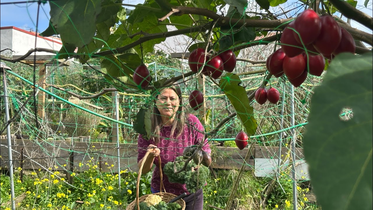 Living the organic life At our FARM ❤️