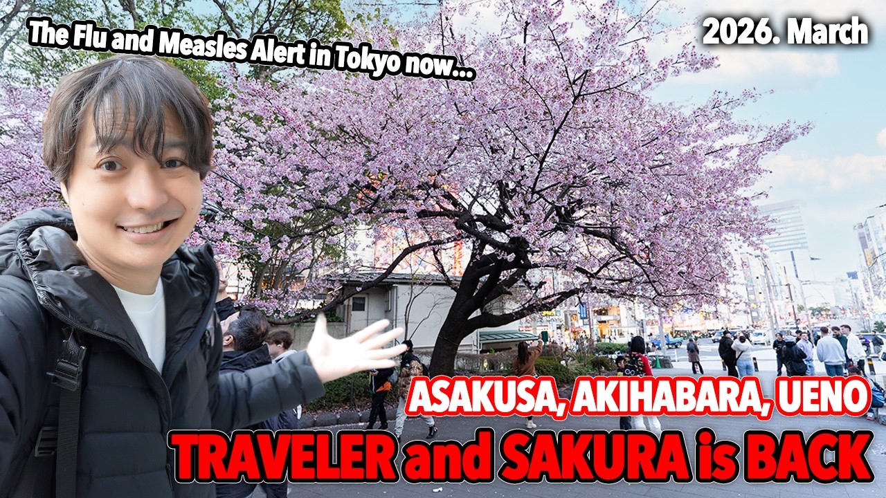 2026 Japan Cherry Blossom and Travel Alert! Early Blooms & New Travel Rules You Must Know Ep.629