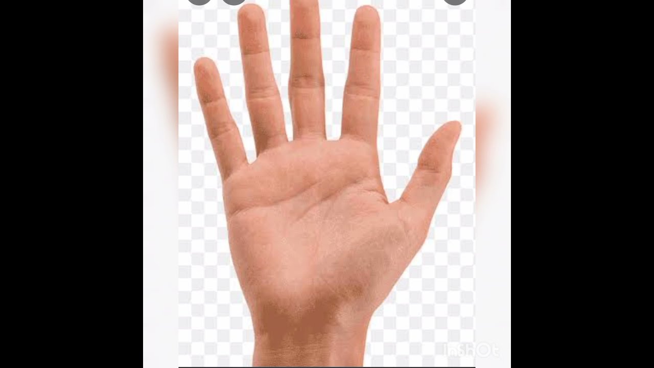 ما هو سر رقم 18و81في كف اليد