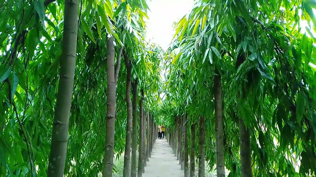 National martyrs memorial at savar.