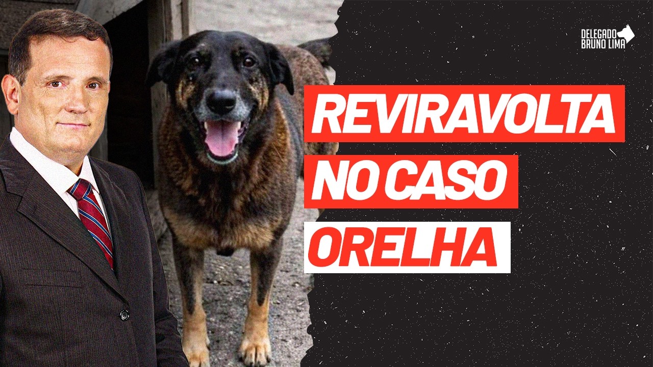 URGENTE 🚨 Reviravolta no caso Orelha? 🚨