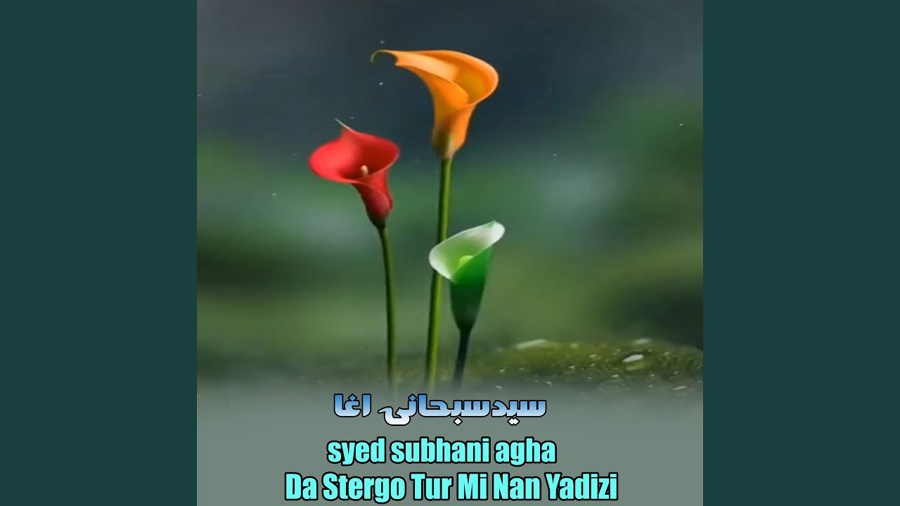 Zardi La Gombat Sama