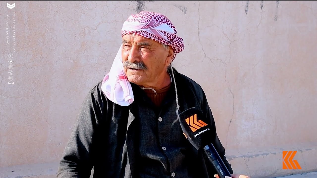 جبل سنجار وموسم البلوط: حكاية من قلب طبيعة الجبل وتراثه