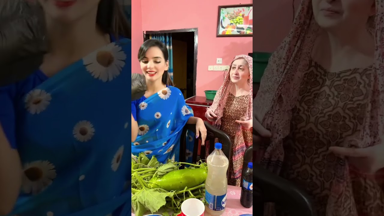 শশুর বাড়িতে গিয়ে সবাইকে রান্না করে খাওয়ালাম ❤️