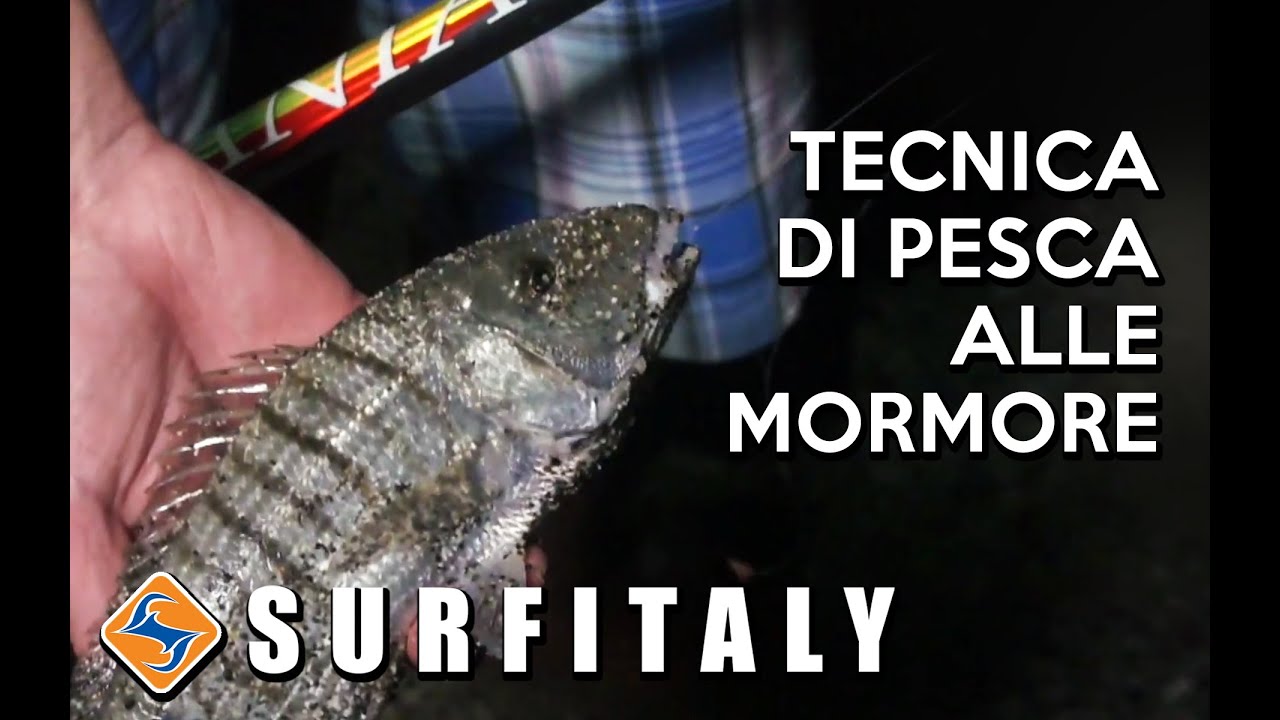 Tecnica di pesca alle mormore dalla spiaggia