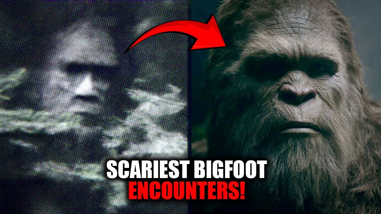 Scariest Bigfoot Encounters Ever Recorded (2025 Compilation)