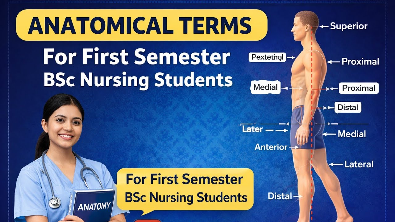 Introduction to Anatomical Terms BSc Nursing 1st SEM.MALAYALAM .